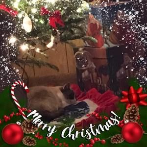 Meet your Posher, Ruthie